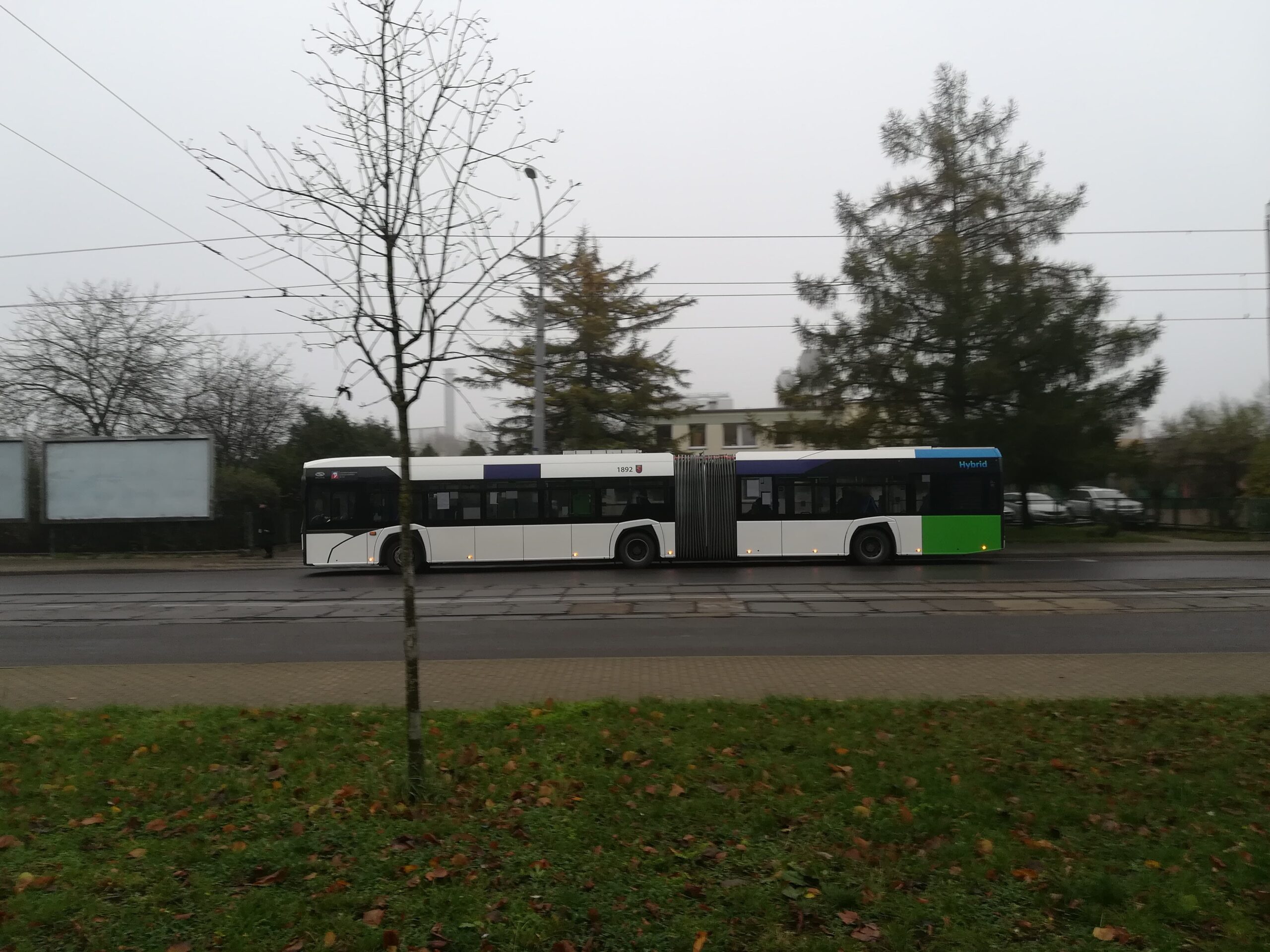 Autobusy linii 53, 524 i 528 już na swoich trasach